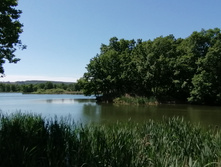 IMG 20200614 114526.jpg