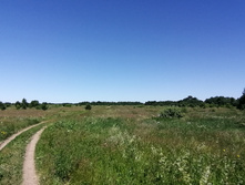 IMG 20200621 115810.jpg