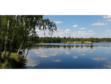 IMG 20200607 114625.jpg