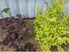 ���������� �������