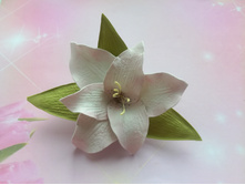 IMG 20200605 174333.jpg