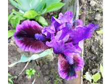 ���� ������ �����.���� ������