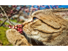 � �����! ...