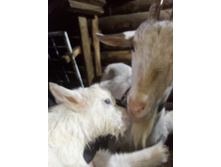 IMG 20200423 141710.jpg