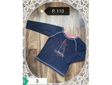 ������������� �����. �. 110