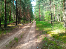 20200606 �� ����� ����� 1536.jpg