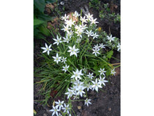 IMG 20200614 095812.jpg