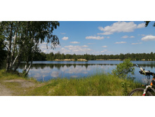 IMG 20200607 114555.jpg