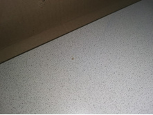 ���������� ����1