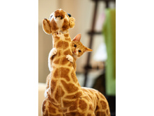 ��� �� ������