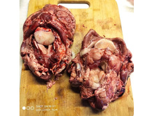 ������ ������