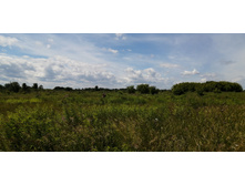 IMG 20200628 124500.jpg