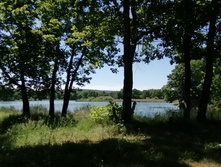 IMG 20200614 114443.jpg