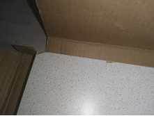 ���������� ����2