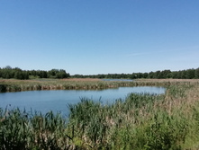 IMG 20200614 114513.jpg