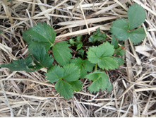 IMG 20200529 202530.jpg