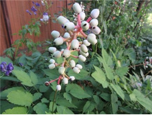 ������� �����.jpg