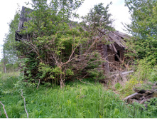 IMG 20200529 153329 HDR.jpg