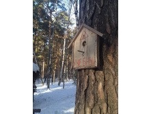 ����������. �������.