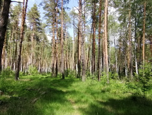 IMG 20200606 132456.jpg