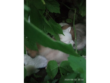 IMG 20200613 205631.jpg