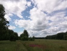 IMG 20200620 124836.jpg