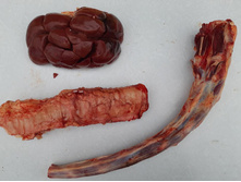 �����, ������ �����.