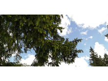 IMG 20200606 134038.jpg