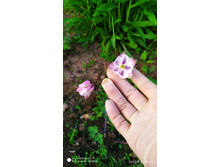 IMG 20200606 185616.jpg