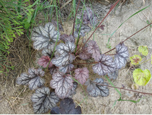 �������