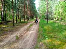 20200606 �� ����� ����� 1538.jpg