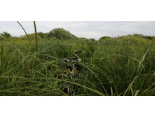 IMG 20200623 123607.jpg