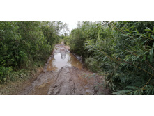 IMG 20200716 185923.jpg