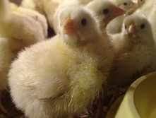 IMG 20200426 122656 141.jpg