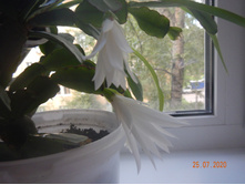 DSCN4743.JPG