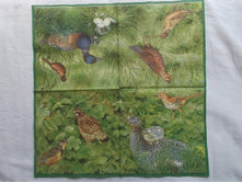 140/1.JPG 20 ��� � ������� 1 ��