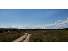 IMG 20200726 135321.jpg