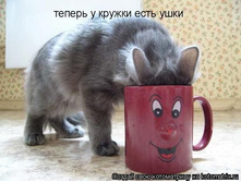 ������ � ������ ���� ����!