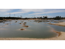 IMG 20200711 134638.jpg