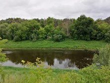 IMG 20200716 171806.jpg