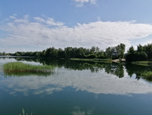 IMG 20200725 084305.jpg