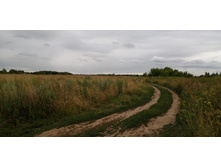 IMG 20200716 182445.jpg