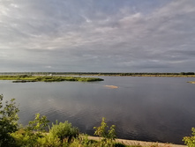 IMG 20200716 192519.jpg