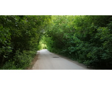 IMG 20200716 193841.jpg