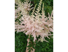 ��������  - 70 �.