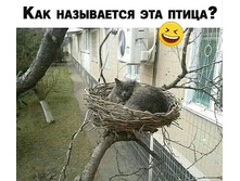 ��� ���������� ��� �����?