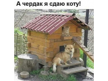 � ������ � ���� ����!