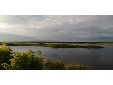 IMG 20200716 192351.jpg