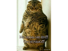 �� ���� �� ��!!! �� �����!!!