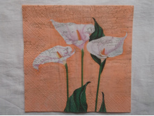 278.JPG � ������� 1 ��